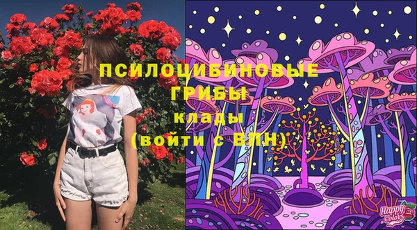 прущий лед Верея