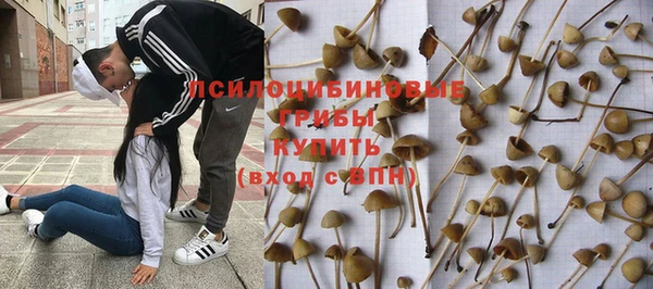 прущий лед Верея