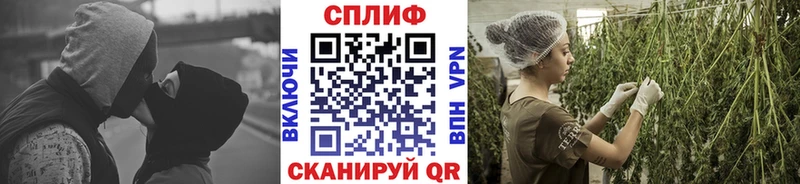 купить  цена  Пушкино  МАРИХУАНА Amnesia 